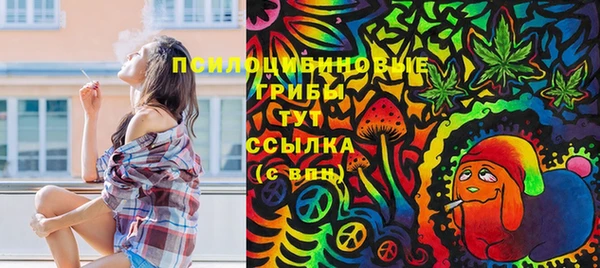 первитин Нязепетровск