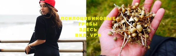 первитин Нязепетровск