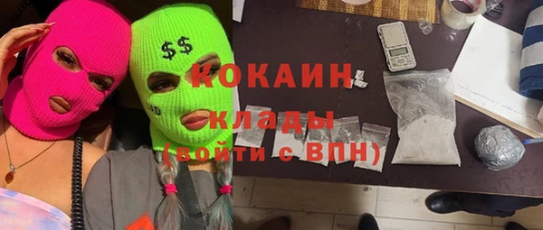 стафф Няндома