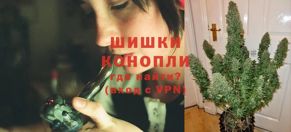 ALPHA PVP Новодвинск